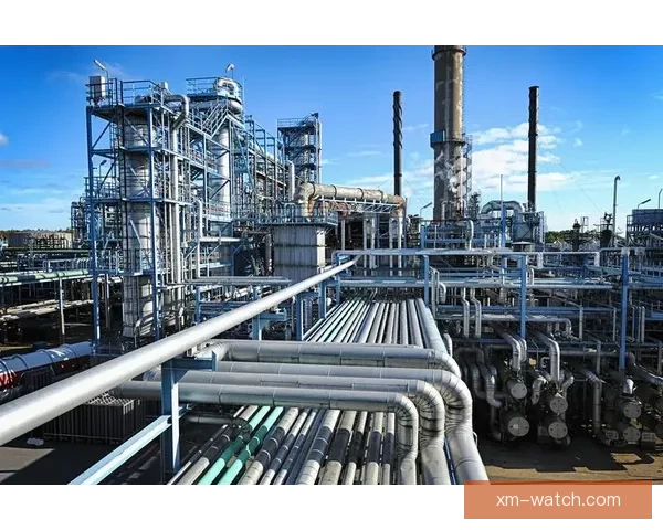 熊猫体育下载全新体验指南畅享赛事直播与数据分析一站式平台