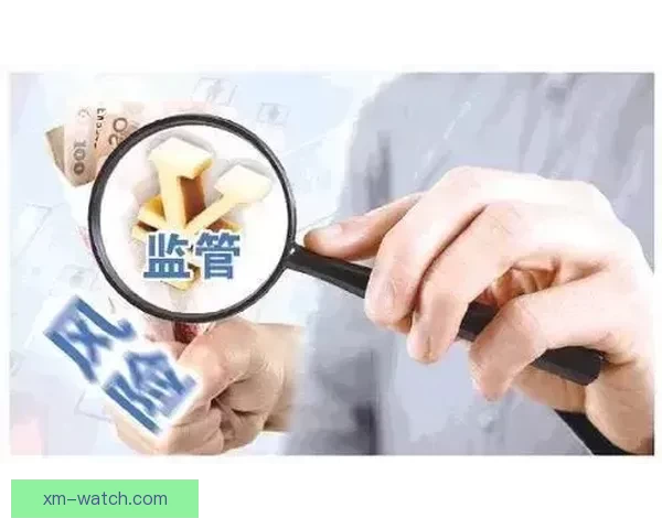 全面解析体育竞猜平台发展趋势与风险管理策略